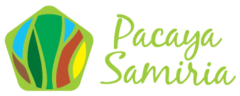 Logo Pacaya